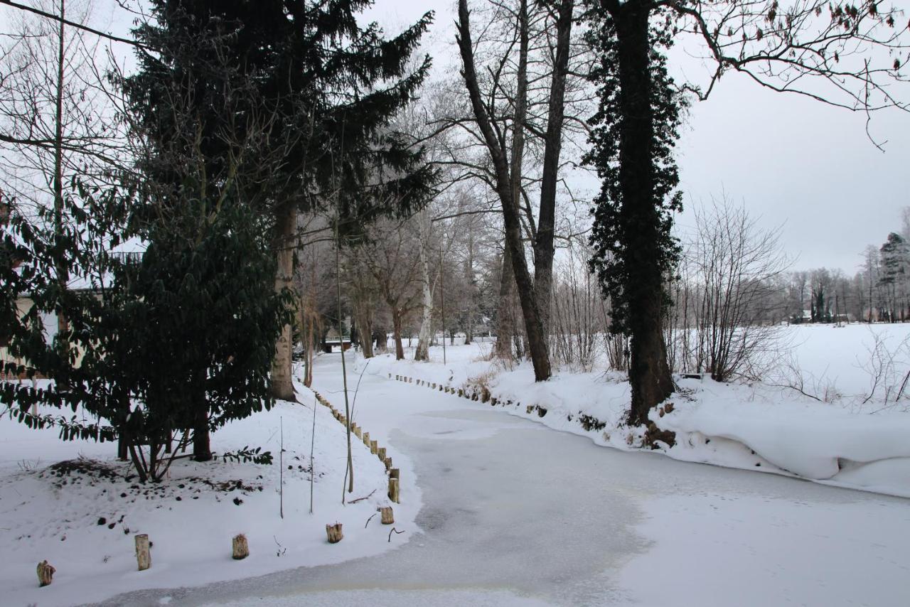 Landgasthof Zur Wildbahn Burg  Εξωτερικό φωτογραφία